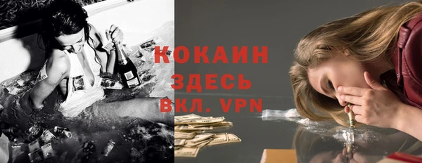 твердый Алексин