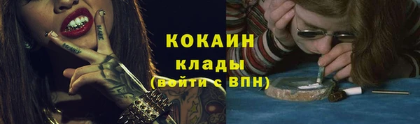 твердый Алексин